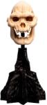 Weta Workshop Lord of the Rings - Craniul lui Lurtz Miniatură (861304356) Figurina