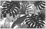 ZeSmakiem Fotótapéta 416x254 Fekete-fehér monstera (H7925M_TV5BE_416x254cm ODS)