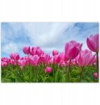 ZeSmakiem Fotótapéták 416x254 Tulipánok Valentin napra (H7861M_TV5BE_416x254cm ODS)