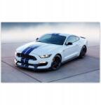 ZeSmakiem Fotótapéták 520x318 Ford Mustang Shelby (H1916M_TV5BC_520x318cm ODS)
