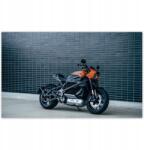 ZeSmakiem Fotótapéták 416x254 Harley Davidson Motorkerékpár (H5117M_TV5BE_416x254cm ODS)