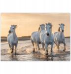ZeSmakiem Fotótapéták 368x254 Vad lovak Wild Horses (H8236Y_TV5BF_368x254cm ODS)