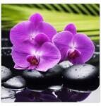 ZeSmakiem Fotótapéták 312x312 Orchidea Valentin napra (H907Z_TV5BX_312x312cm ODS)