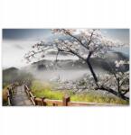 ZeSmakiem Fotótapéták 520x318 Japán Virágzó cseresznye (H839M_TV5BC_520x318cm ODS)