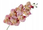 Rojek Decor Mű orchidea pöttyös rózsaszín, 77 cm (K04069)
