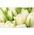 ZeSmakiem Fotótapéták 416x254 Finom tulipánok (H901M_TV5BE_416x254cm ODS)