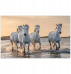 ZeSmakiem Fotótapéták 416x254 Vad lovak Wild Horses (H8236Z_TV5BE_416x254cm ODS)