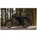 ZeSmakiem Fotótapéta 416x254 Simson hármas villogókkal (H10194Z_TV5BE_416x254cm ODS)