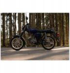 ZeSmakiem Fotótapéta 368x254 Simson hármas villogókkal (H10194M_TV5BF_368x254cm ODS)