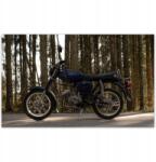 ZeSmakiem Fotótapéta 520x318 Simson hármas villogókkal (H10194Z_TV5BC_520x318cm ODS)