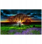 ZeSmakiem Fotótapéták 520x318 Az élet fája (H2027M_TV5BC_520x318cm ODS)