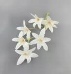 7&7 Orchidea ág 6 virág (5, 5 cm) szár 18 cm Fehér (kwiat)