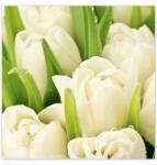 ZeSmakiem Fotótapéták 312x312 Finom tulipánok (H901M_TV5BX_312x312cm ODS)