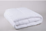 Naturtex Antibacterial Soft paplan 140x200 cm - 600 g - mosonfuggony