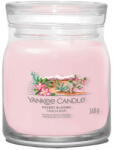 Yankee Candle Desert Blooms 368 g (5038581158907)