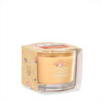 Yankee Candle Slopeside Spritz 37 g (5038581166780)