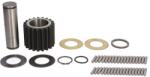 C. E. I Kit Sateliti Grup Diferential, Piese Grup Diferential Volvo Rs 1352 Hv Rs 1370 Hv (298515)