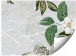 GIGAPRINT Fotótapéta Botanikai Illusztráció A Nappali Hálószobájába 300x210 (Ilustracja_botaniczna_na_cemencie)