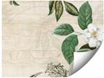 GIGAPRINT Vintage Stílusú Fotótapéta A Nappali Hálószobájába 250x175 (Ilustracja_w_stylu_vintage)