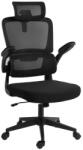 Redragon C214 Scaun Gaming Neagră (28.16.0001)