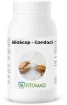 Bioscap Insecticid Bio Pulbere Diatomee (SiO2) Anti-Gandaci Bucatarie Canalizare Imprastiere Contact - Bucatarie, Depozite, Restaurante, Interior 1KG