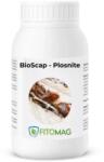 Bioscap Insecticid Bio Anti-Plosnite Pat, Saltele, Dormitor, Hotel, Pensiune - Imprastiere Contact Pulbere Diatomee (SiO2) 1KG