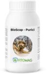 Bioscap Insecticid Bio Anti-Purici - Mocheta, Canapea, Tapiterie, Curte, Animale Companie, Interior - Pulbere Diatomee (SiO2) Imprastiere Contact 1KG