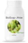 Bioscap Insecticid Bio Pulbere Diatomee (SiO2) Anti-Afide Pulverizare Foliara - Deshidratare Mecanica Exoschelet, Gradina, Solar, Cultura 100G