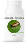 Bioscap Insecticid Bio Pulbere Diatomee (SiO2) Anti-Gandaci Bucatarie Canalizare Imprastiere Contact - Bucatarie, Depozite, Restaurante, Interior 100G
