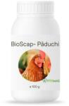 Bioscap Insecticid Bio Anti-Paduchi Gaina Imprastiere Contact Pulbere Diatomee (SiO2) - Cotet Gaini, Cuiburi, Penaj, Ferme Avicole, Pasari Curte 100G
