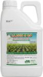 Mifalchim Sajon 4 OD - Erbicid Sistemic Nicosulfuron 40 g/L - Mohor, Iarba Barboasa, Costrei - Porumb 5L