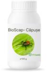 Bioscap Insecticid Bio Pulbere Diatomee (SiO2) Anti-Capuse Imprastiere Contact - Boala Lyme, Curte, Gradina, Gazon, Adapost Animale 100G