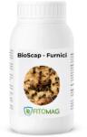 Bioscap Insecticid Bio Pulbere Diatomee (SiO2) Anti-Furnici Imprastiere Contact - Interior, Bucatarie, Gradina, Terasa, Curte, Musuroi 1KG