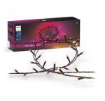 Philips HUE FESTAVIA STRING LIGHTS 500LEDS EU (000008720169246867)