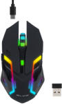 BLOW 84-063 Mouse