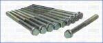 Triscan 98-8528 - SET SURUB. CHIULASA - compatibil Vw. Nissan - Triscan-98-8528 (TRISCAN988528)