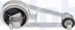 Delphi TEM254 - Suport motor - Delphi-TEM254 (DELPHITEM254)