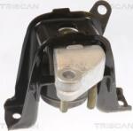 Triscan 8505 13100 - SUPORT MOTOR - compatibil Toyota - Triscan-8505 13100 (TRISCAN850513100)