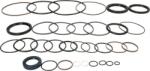 FEBI Bilstein 37708 - Set garnituri, caracsa directie - FEBI Bilstein-37708 (FEBIBILSTEIN37708)