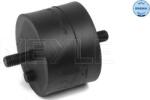 Meyle 300 118 1101 - Suport motor - Meyle-300 118 1101 (MEYLE3001181101)