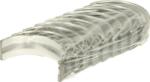 MAHLE 029 HS 18067 000 - Set rulemt arbore cotit - MAHLE-029 HS 18067 000 (MAHLE029HS18067000)