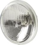 HELLA Insertie, far - HELLA-1A3 002 850-031 (HELLA1A3002850031)