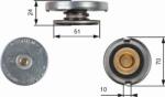 GATES RC105 - BUSON. RADIATOR - compatibil Fiat. Ford - GATES-RC105 (GATESRC105)