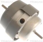 Triscan 8505 29169 - SUPORT MOTOR - compatibil Audi. Seat - Triscan-8505 29169 (TRISCAN850529169)
