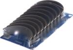 Kolbenschmidt 77518620 - Set rulemt arbore cotit - Set rulment arbore cotit - Kolbenschmidt-77518620 (KOLBENSCHMIDT77518620)