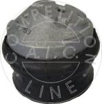 AIC 53984 - Suport motor - AIC-53984 (AIC53984)