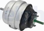 Delphi TEM143 - Suport motor - Delphi-TEM143 (DELPHITEM143)