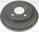 Triscan 8120 69219C - TAMBUR FRANA - compatibil Suzuki. Subaru - Triscan-8120 69219C (TRISCAN812069219C)