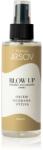 Tomas Arsov Blow-up thermo-volumizing spray volumizant pentru uscarea prin suflare și coafatul final al părului 150 ml