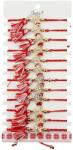 Jolie Martisor Bratara cu Ciucure pentru Dama, Jolie, Model Inima cu Margareta, Set 12 bucati, Pandativ din Inox cu Pietre, Snur Reglabil, Rosu/Alb (CR-128077)